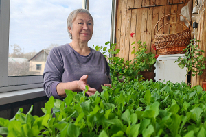 Надежда Соколова из агрогородка Новка Витебского района разводит около 15 сортов томатов