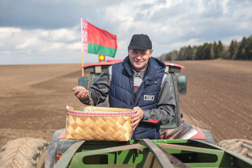Аграрии Минской области посеяли 61 процент ранних яровых и зернобобовых