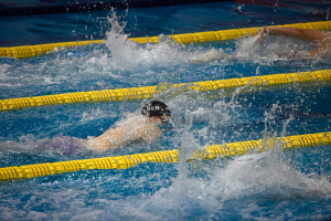 В Бресте завершился первый день Открытого чемпионата Беларуси по плаванию