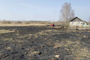 В Могилевской области при возгорании сухой травы две пенсионерки получили ожоги, одна из них погибла