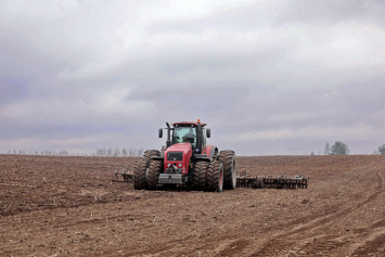В Беларуси посеяно почти 52% ранних яровых зерновых и зернобобовых культур