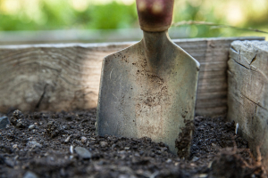 Знаете ли вы, когда можно начинать готовить почвы для апрельских посадок?