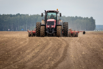 В Беларуси засеяно больше 6 тысяч гектаров льна-долгунца