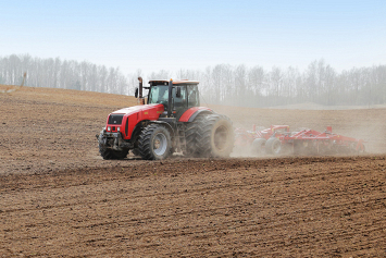 Ранние яровые зерновые и зернобобовые в Беларуси посеяны на 54 процентах площадей