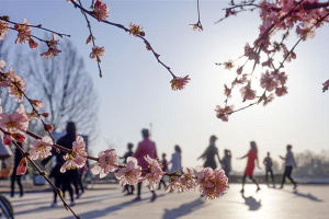 Пекин принял большое количество туристов во время праздника Цинмин