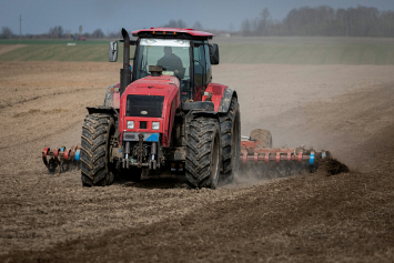 В Беларуси посеяли 63 процента ранних яровых зерновых и зернобобовых