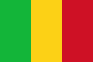 В Мали на неопределенный срок остановлено функционирование политических партий