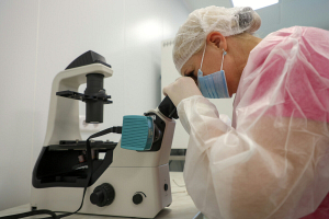 Медики из Беларуси изучат в Китае опыт применения клеточных технологий в онкологии и гематологии
