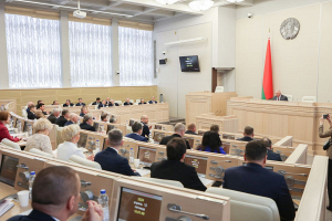 Совет Республики сформировал состав своих постоянных комиссий