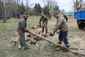 Коллектив МВД и будущие сотрудники правоохранительных органов помогли обновить лес в Боровлянском спецлесхозе