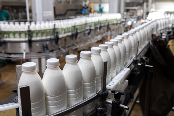 Эксперт рассказала о пользе молочных продуктов и зачем для приготовления закваски нужно хорошее настроение