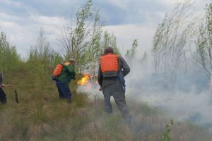 Минлесхоз: лесники Беларуси потушили трансграничный пожар с территории Украины