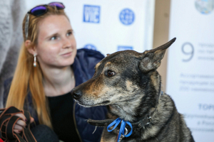 В Минске прошла акция помощи бездомным животным «Дорога домой»