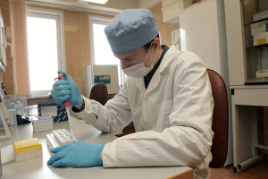 Жителями Брестской области наиболее востребованы генетическая и VIN-экспертизы