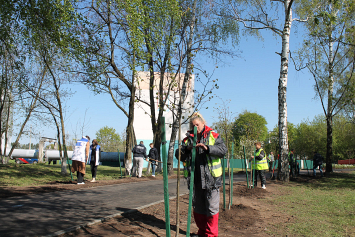На субботнике в Гомеле сажают деревья в местах воинских захоронений и мемориалов жертвам геноцида   