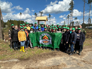 Сотрудники аппарата концерна "Беллесбумпром" во время субботника посадили деревья в Березинском лесхозе 