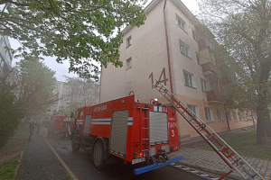Сотрудники МЧС спасли 46-летних супругов при пожаре в Гомеле