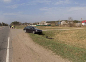 Следователи устанавливают очевидцев ДТП с гибелью велосипедистки в Осиповичском  районе