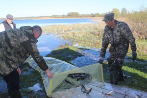Белорусское общество охотников и рыболовов произвело зарыбление пяти водоемов Беларуси