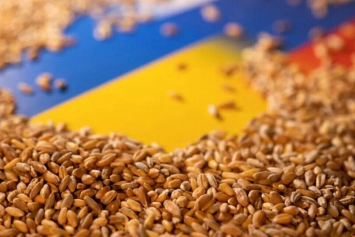 Впервые с начала протестов фермеров Евросоюз сократил закупки зерна из Украины