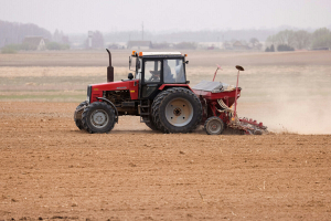 В Беларуси посеяно 30 процентов кукурузы на зерно