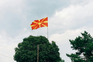 В Северной Македонии стартовали президентские выборы