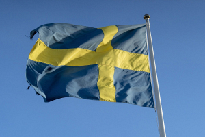 В Швеции заявили, что намерены в 2025 году направить войска в Латвию для укрепления сил НАТО