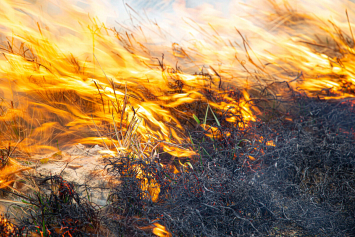 В Речицком районе местный житель сжигал мусор и получил ожоги