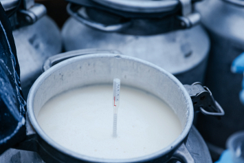 Брестская область преодолела рубеж по реализации переработчикам 6 тыс. тонн молока в сутки