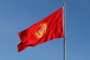 В Кыргызстане 29 детей пострадали в результате наезда на них грузового автомобиля