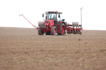 В Беларуси посеяна почти треть всей кукурузы 