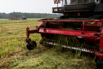 В Брестской области 50 сельхозорганизаций приступили к заготовке травяных кормов