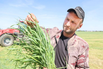 В Брестской области набирает обороты заготовка травяных кормов  