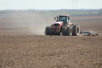 В Витебской области посеяли почти 100 тысяч гектаров зерновых