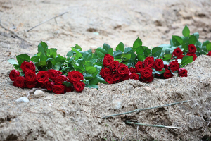 В Слонимском районе 8 мая с воинскими почестями перезахоронят останки красноармейцев, погибших летом 1941 года