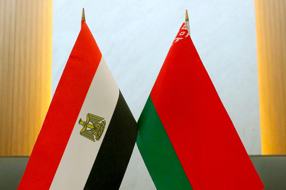 Беларусь и Египет планируют расширить двустороннее сотрудничество в области молодежной политики и спорта