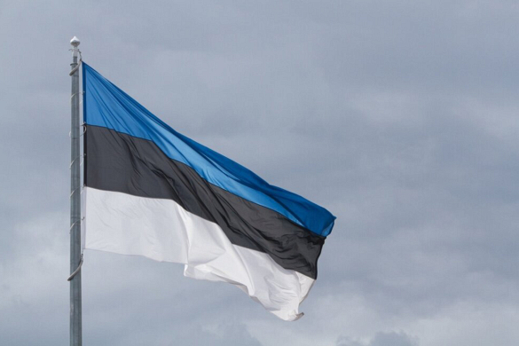 Советник президента Эстонии заявил, что в стране обсуждают отправку войск в Украину для тыловых работ