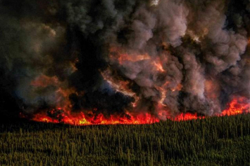 Из-за лесного пожара в Канаде эвакуировали 6 тыс. человек