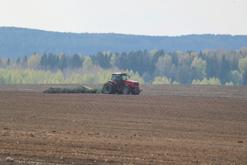 Белорусские аграрии выполнили план по посеву ранних яровых зерновых и зернобобовых культур