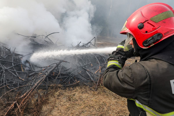 На территории четырех районов Гомельской области ликвидированы лесные и травяные пожары