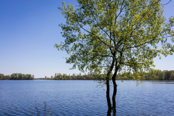 За первые четыре месяца текущего года в Беларуси на водах спасли 37 человек