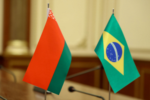 Бразилия видит хорошие перспективы развития академических и научных связей с Беларусью – посол
