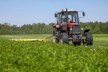 В Беларуси заготовлено более миллиона тонн травяных кормов 