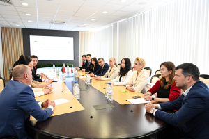 Комиссии спортсменов олимпийских комитетов Беларуси и России обсудили совместные мероприятия