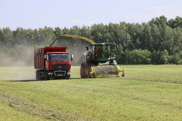 Первый укос трав в Брестской области вышел на оптимальные 5 — 6 процентов в сутки
