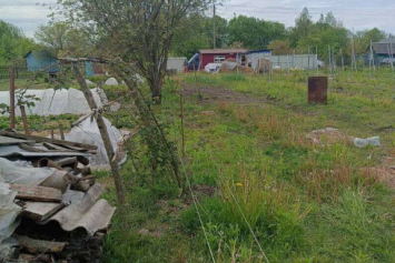 В Гомельской области нашли останки пропавшего 25 лет назад мужчины