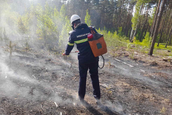 На территории лесного фонда Минлесхоза произошло 2 лесных пожара 