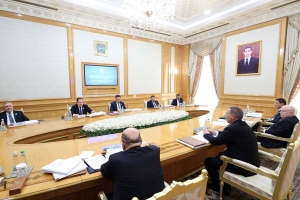 Головченко предложил расширять практику проведения заседаний отраслевых советов СНГ в экономической сфере