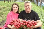 Укроп, кинза, лук и редис — в продаже, на очереди — томат