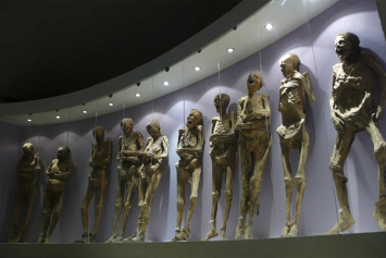 В музее Мексики у мумии XIX века оторвалась рука после неправильной транспортировки